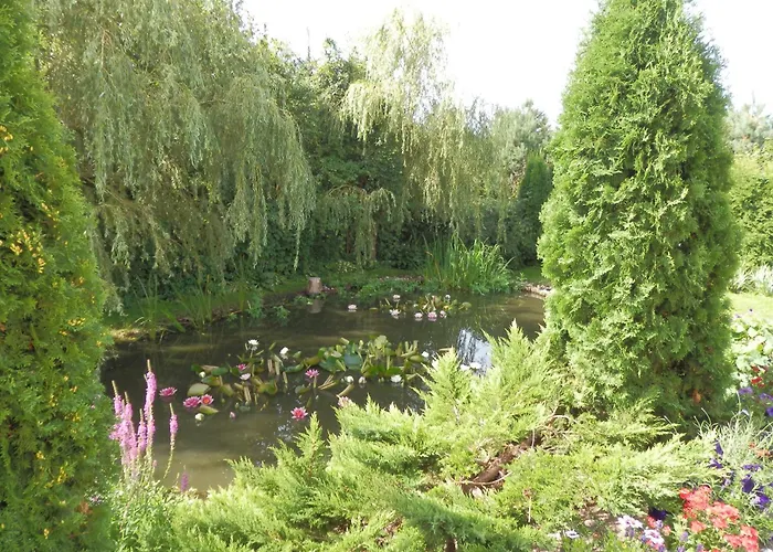 Sloneczny Wodnik