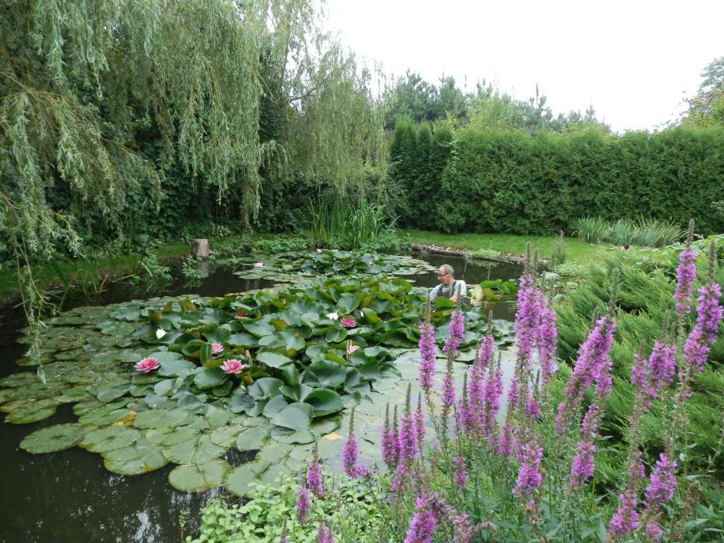 Homestay Sloneczny Wodnik