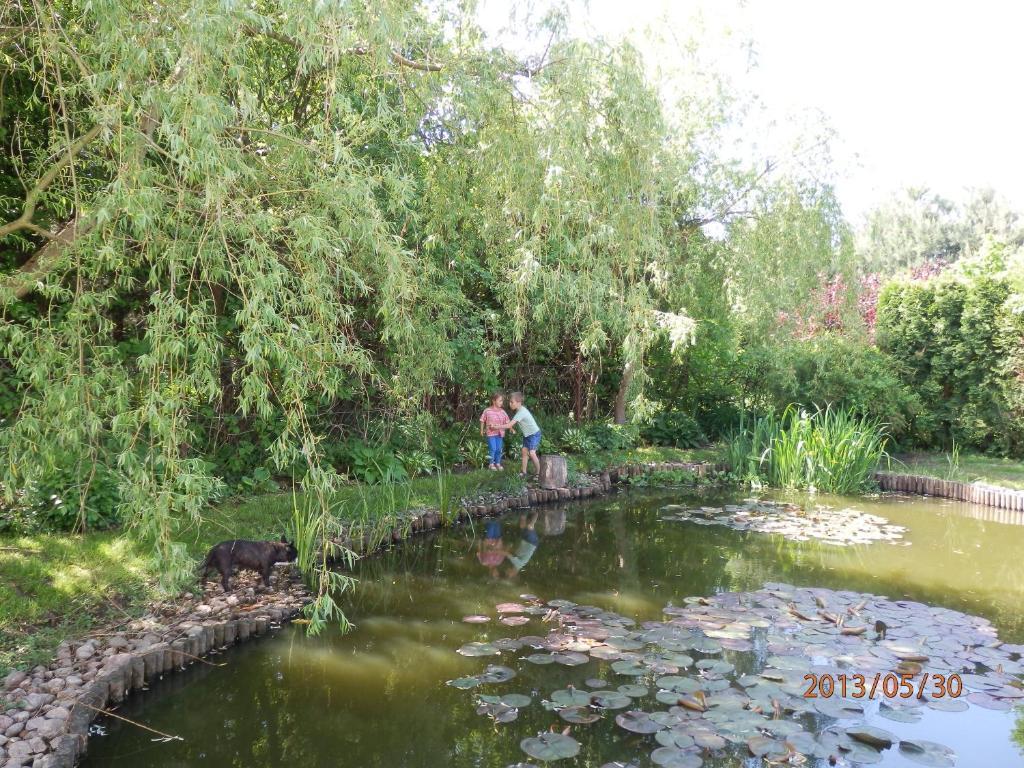 Homestay Sloneczny Wodnik
